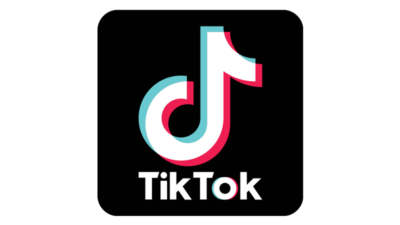 Ed the Sock on TikTok